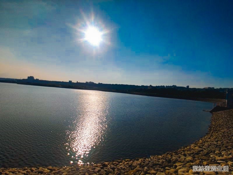 中庄調整池 一隅 中庄調整池 一隅