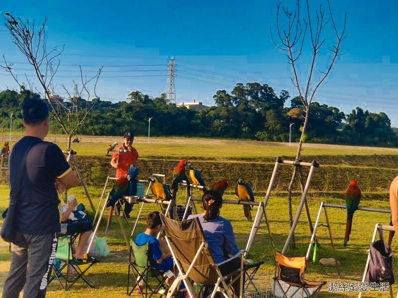 中庄調整池 鳥聚 中庄調整池 鳥聚