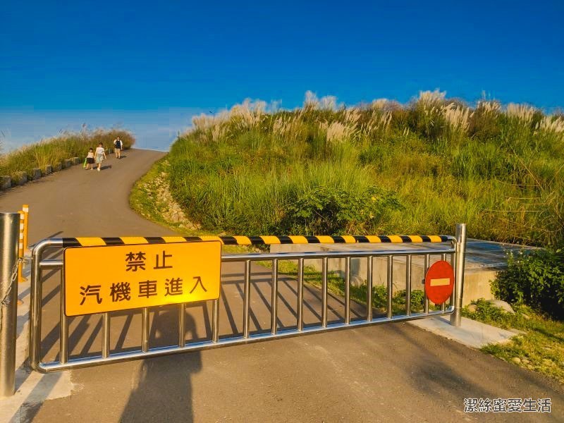 中庄調整池 一隅 中庄調整池 一隅