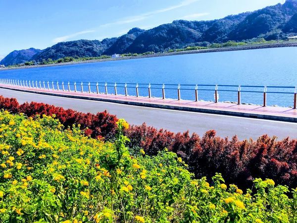 IMG_6300-EFFECTS.jpg IMG_6300-EFFECTS.jpg