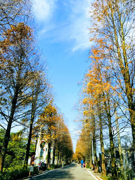 IMG_6406.jpg IMG_6406.jpg