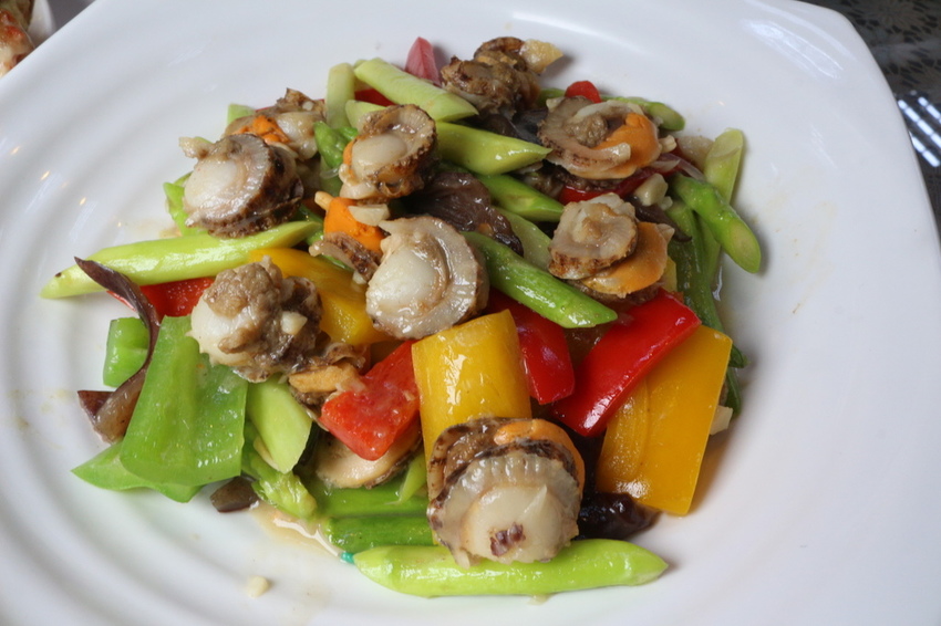 IMG_0556.JPG IMG_0556.JPG