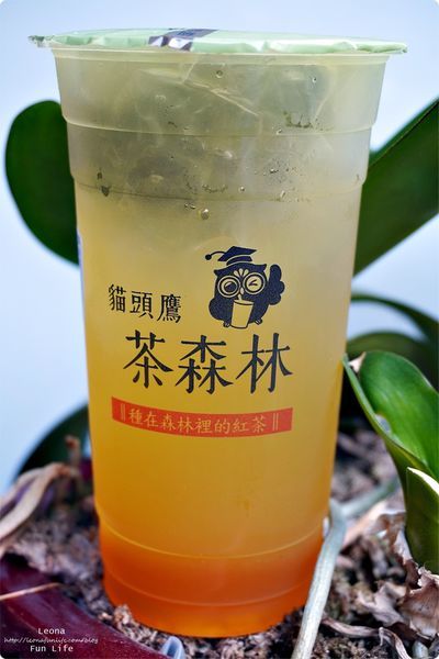 花蓮飲料店 貓頭鷹茶森林花蓮中山店 花蓮日月潭紅茶 米其林紅韻 水果茶 花草茶 日月潭紅茶茶葉蛋DSC07254.JPG