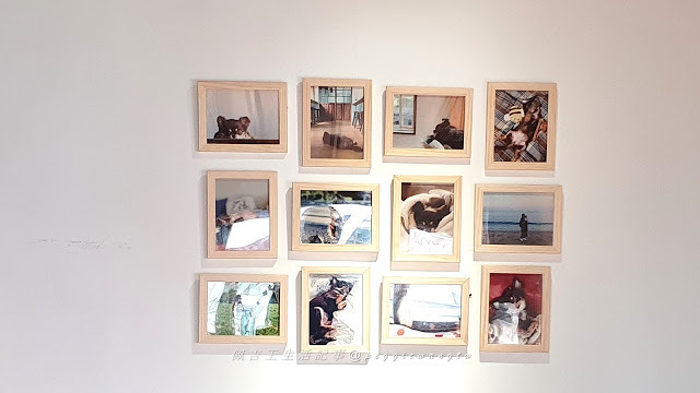 老饕帶路的IG美食! 小吉市場: 隱藏老屋咖啡店 完美大人系手工布丁,法芙娜可可捲  安靜位少寵物友善︱台北古亭站