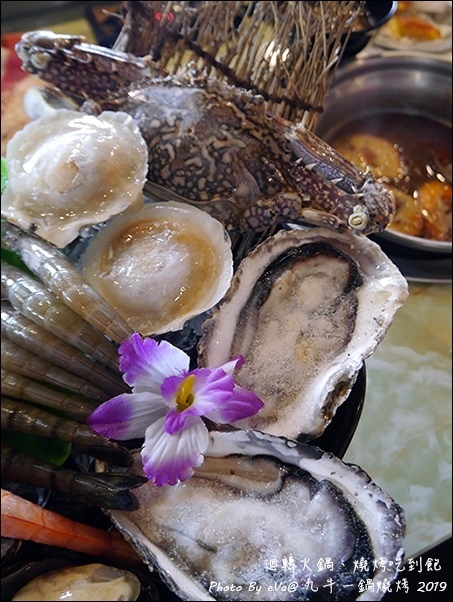 九牛一鍋-47.jpg 九牛一鍋-47.jpg