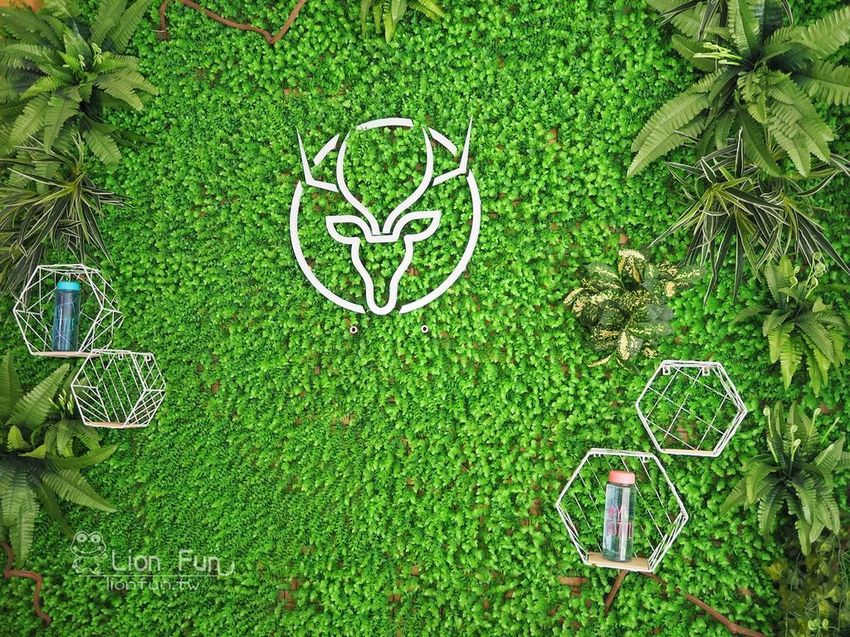 P9153877.JPG P9153877.JPG