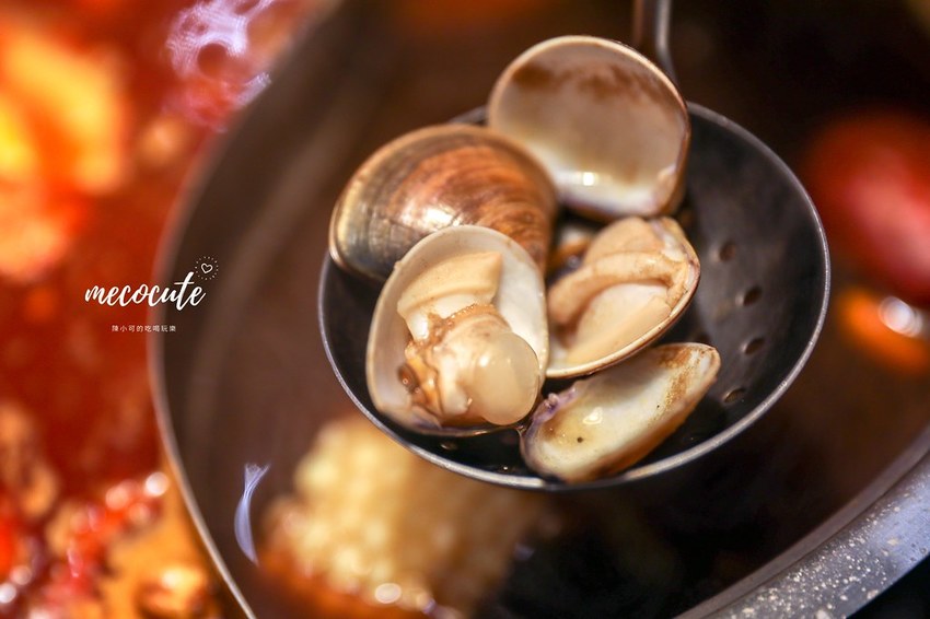 文岩文,文岩文分店,文岩文岩燒蜀辣鴛鴦鍋,新北市火鍋吃到飽,新莊,新莊火鍋吃到飽,新莊美食,新莊餐廳,麻辣鍋推薦 @陳小可的吃喝玩樂