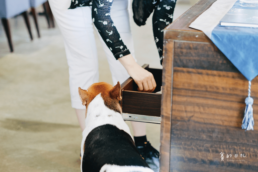 新北美食 深坑美食 新北咖啡廳 莫內咖啡 賽的日札 深坑臭豆腐披薩 09-min.png