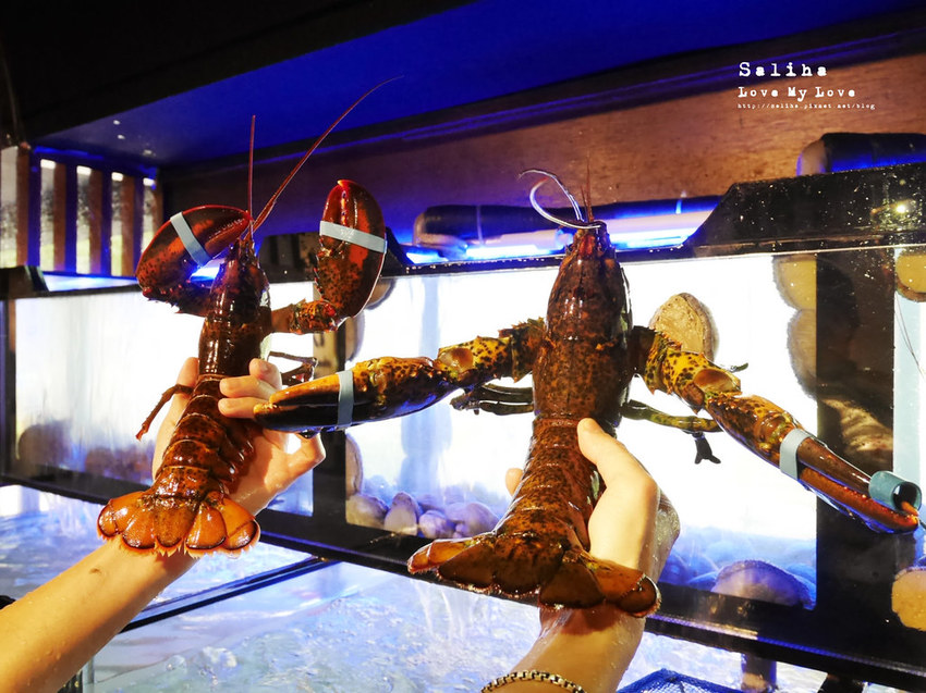 台北大直內湖火鍋餐廳推薦闊佬shabu shabu螃蟹龍蝦 (1)