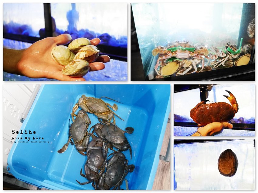 台北大直內湖火鍋餐廳推薦闊佬shabu shabu好吃麻辣鍋海鮮螃蟹和牛 (3)