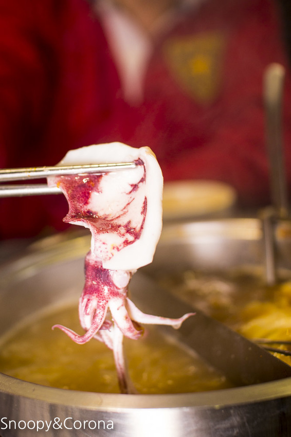 【台北美食】大直火鍋｜內湖火鍋｜闊佬shabu shabu～海鮮大盤商產地直送，新鮮優惠的活體海鮮這裡統統吃得到