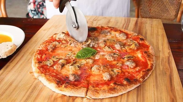 71282698_508198363060727_5812564741314314240_n