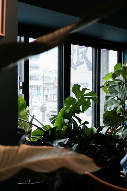 [冬，台中] 內外兼修，最自信的華麗展翅 - 孔雀咖啡