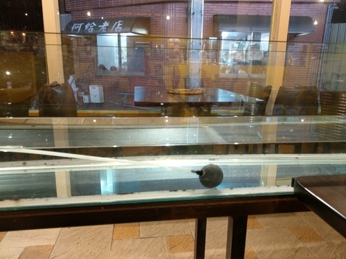 淡水 咁蝦咁蝦 水道活蝦 ︳泰蝦啦 新鮮水道活蝦吃通海 哈根達斯、牛排吃到飽