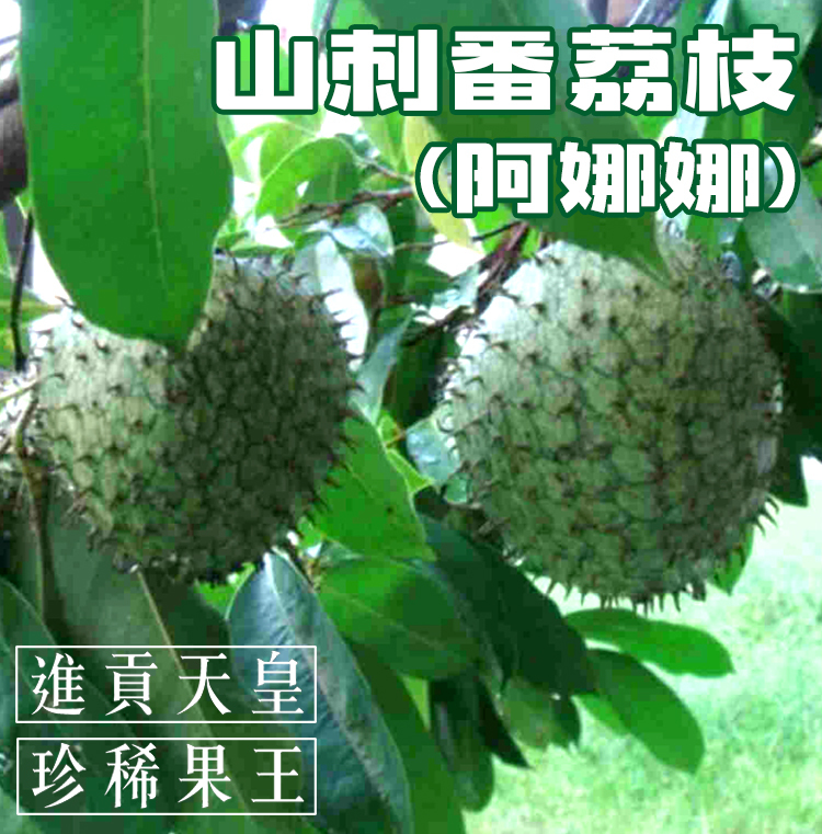 娜味先生南投埔里飲料