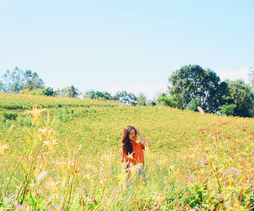 鮪魚家族飯店 花蓮館