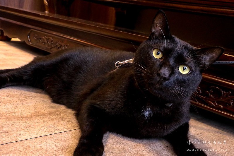 yuan緣咖啡,三重,三重咖啡館,三重美食,緣。咖啡 @陳小可的吃喝玩樂