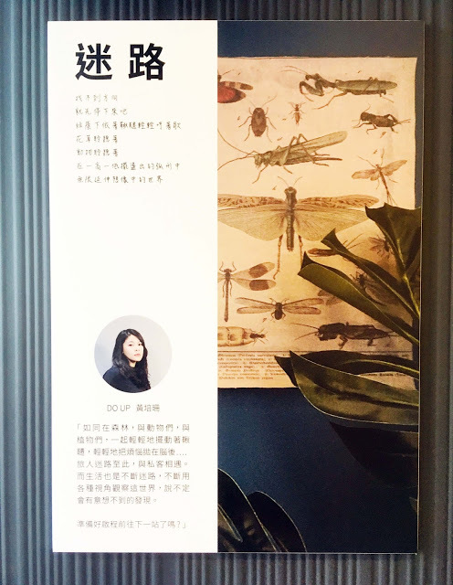 [新北住宿] 私客創旅 Thinker Hotel｜鶯歌老街第一間親子飯店，住在藝術精品房型中感受文藝氣息，附設立方樂親子王國室內樂園讓孩子暢玩放電！