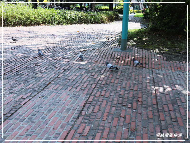 丟丟噹森林x 幾米公園 -宜蘭/向左.向右~走進車站旁童話星空列車 - 潔絲蜜愛生活