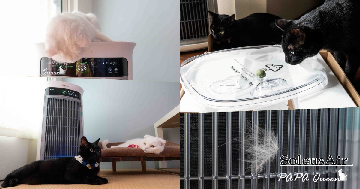 台中黎明新村早午餐！小方塊L&C純白老宅裡吃日式飯糰，台中必訪打卡熱點。