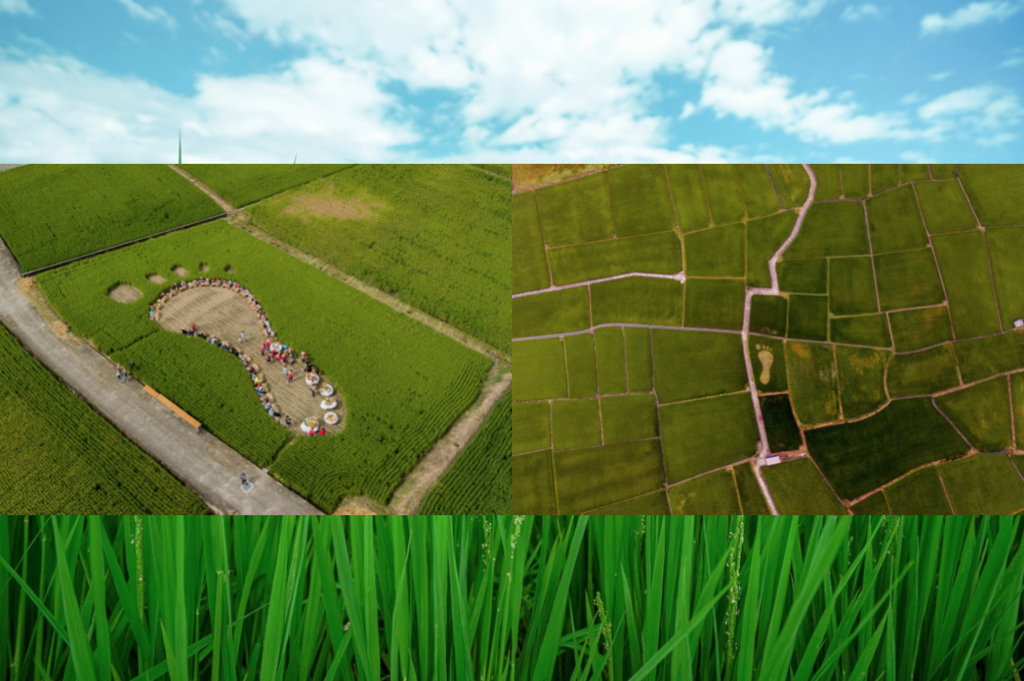 螢幕快照 2019-10-05 下午4.08.47