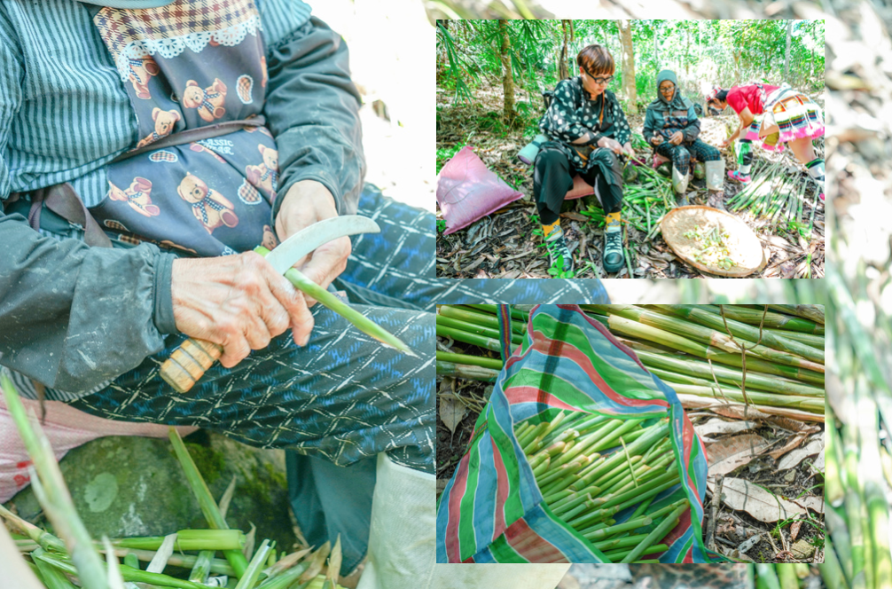 螢幕快照 2019-10-05 下午2.08.04