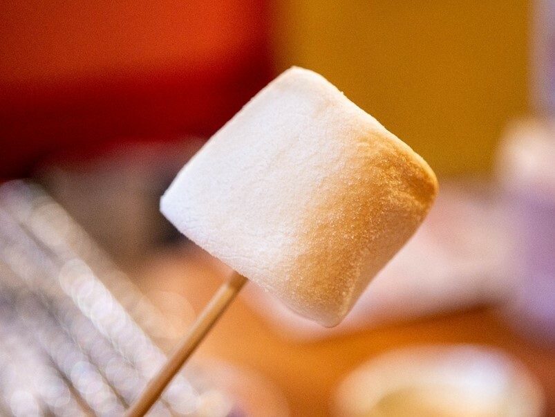 【美食】馬太郎燒肉，炭火燒肉，食材新鮮，肉厚實有品質吃起來就是爽！台北中山區美食