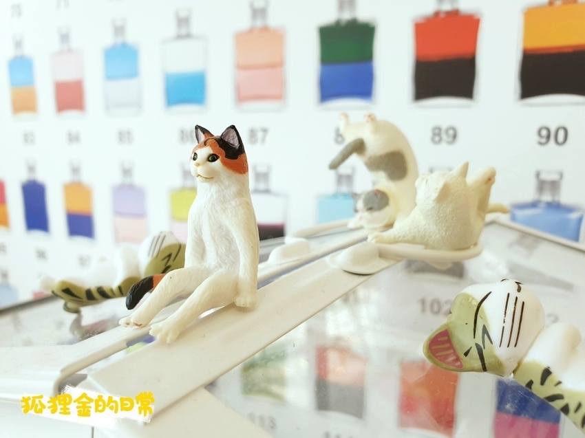 Cat I Cake_狐狸金的日常_191124_0031.jpg