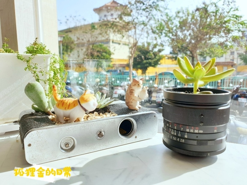 Cat I Cake_狐狸金的日常_191124_0029.jpg