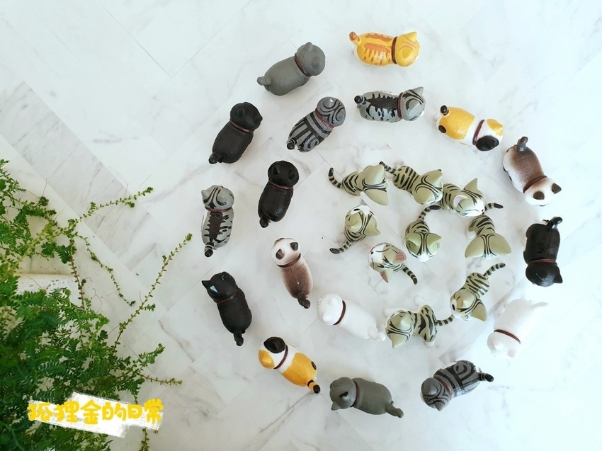 Cat I Cake_狐狸金的日常_191124_0034.jpg