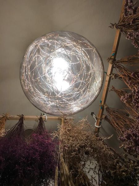 72489126_10218778464988091_3801887952154394624_n.jpg 72489126_10218778464988091_3801887952154394624_n.jpg