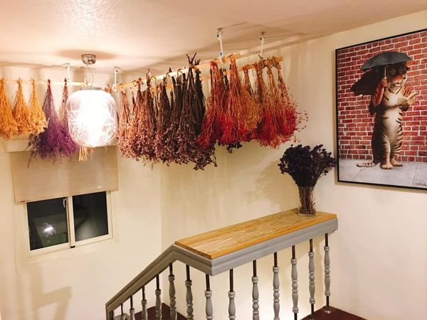 72481974_10218778463348050_5506871290130071552_n.jpg 72481974_10218778463348050_5506871290130071552_n.jpg