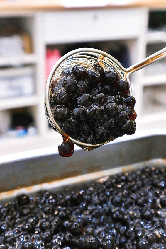 茗時序Time Tunnel