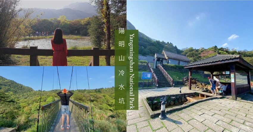 【台北景點】陽明山擎天崗步道一日遊，大草原看水牛群！(交通/停車場/附近景點)