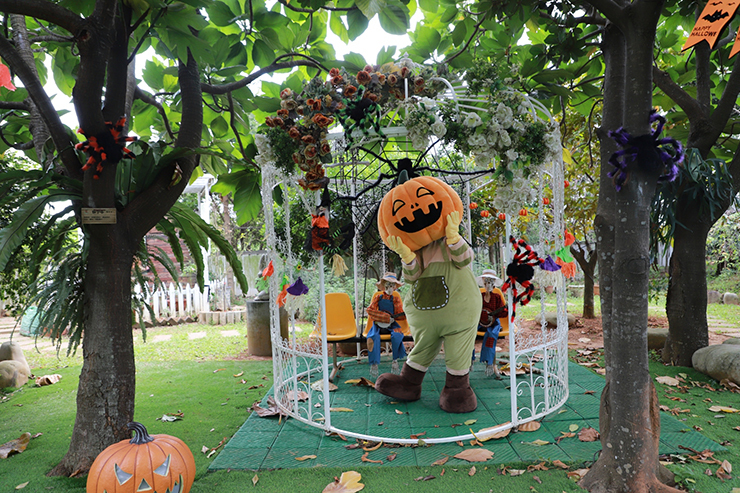 108年桃園觀音區萬聖南瓜節