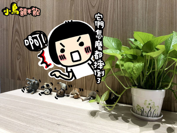 這碗豆花不平凡！《吉初豆花》莫忘初衷豆花店，多種新奇口味任你選