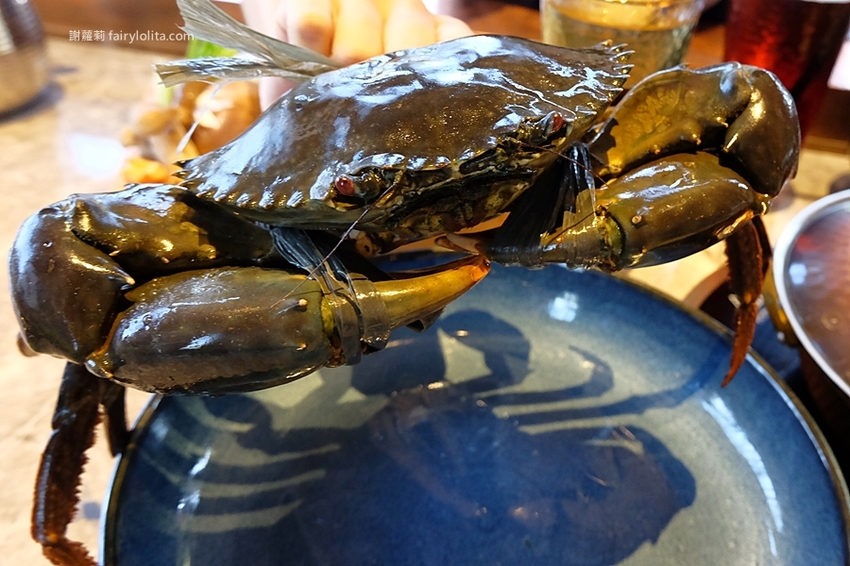 月暮藏涮涮鍋。新開幕！史上最浮誇個人涮涮鍋，日本和牛、活體海鮮，個人套餐499元起，藏身超美玻璃屋！ @蹦啾♥謝蘿莉 La vie heureuse