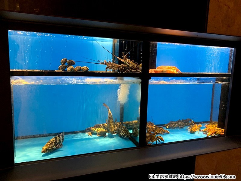 月暮藏_191023_0002