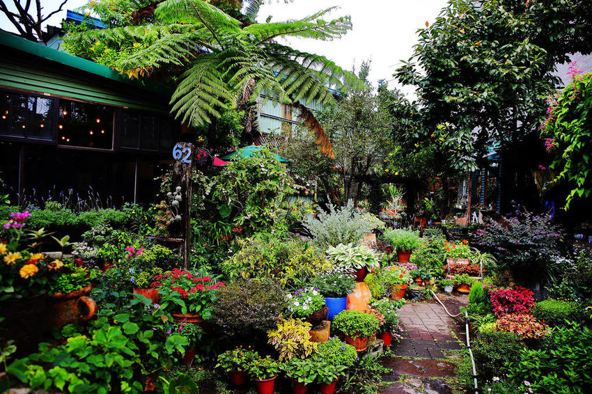 光源62咖啡 /美食窩客 小珊珊 提供未經許可，不得轉載