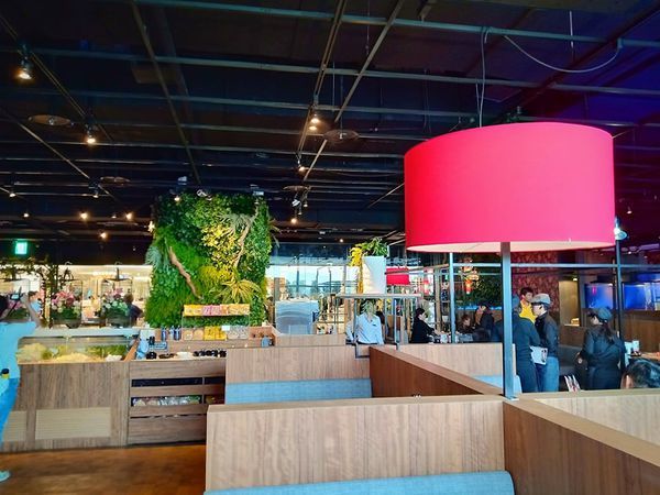 73025628_697062064112069_7287438871330029568_n