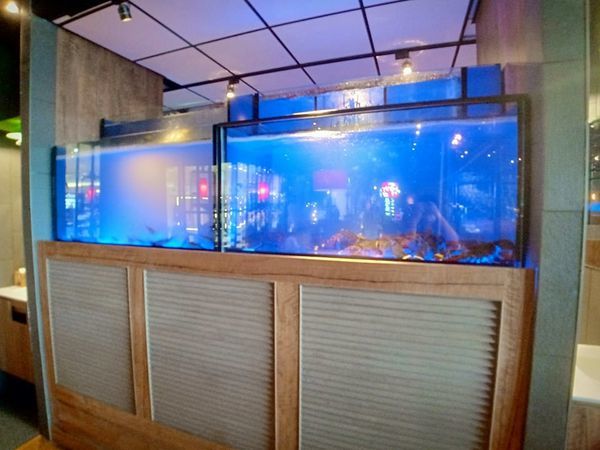 75233893_713637279113651_2921729959271596032_n