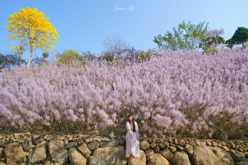 【南投埔里|美食】築樂珈琲。預約制日式庭院全榻榻米用餐空間,下午茶浮誇戚風蛋糕