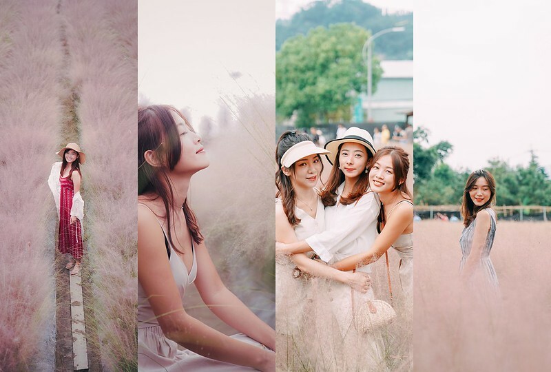 【南投埔里|美食】築樂珈琲。預約制日式庭院全榻榻米用餐空間,下午茶浮誇戚風蛋糕