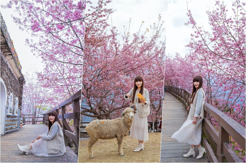 【南投埔里|美食】築樂珈琲。預約制日式庭院全榻榻米用餐空間,下午茶浮誇戚風蛋糕