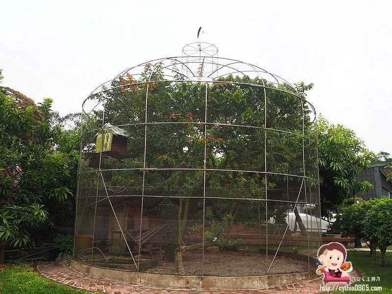 桃園龍潭美食-大紅蕃薑母鴨 羊肉爐 熱炒 燒烤 景觀庭園餐廳(水車庭龍潭店)-藏在山野裡面的薑母鴨鴛鴦鍋,敲敲魚好趣味 (邀約) @民宿女王芽月-美食.旅遊.全台趴趴走