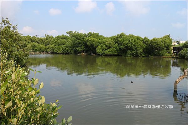 林園清水巖風景區39.jpg