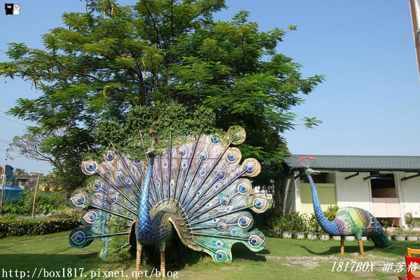 【彰化。埔鹽】順澤宮。領取世界冠軍帽。順遊小班長的家喝免費咖啡買零食