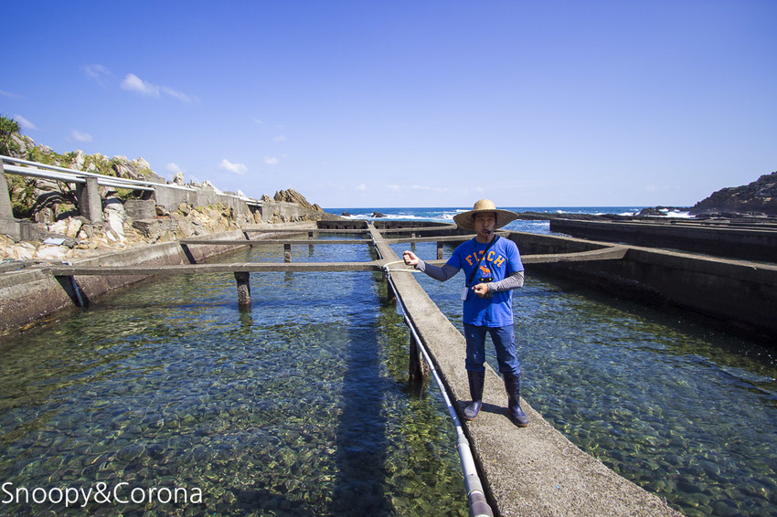 【新北市景點】貢寮景點|九孔養殖體驗|嘉邑海鮮小館~餵食九孔體驗、品嚐炙燒九孔,澳底大啖現流海鮮