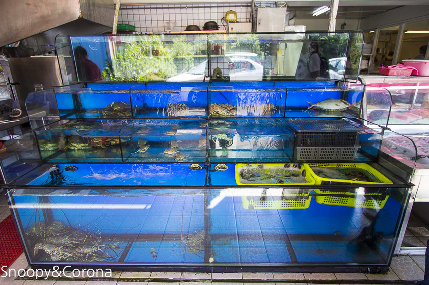 【新北市景點】貢寮景點|九孔養殖體驗|嘉邑海鮮小館~餵食九孔體驗、品嚐炙燒九孔,澳底大啖現流海鮮