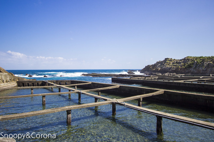 【新北市景點】貢寮景點|九孔養殖體驗|嘉邑海鮮小館~餵食九孔體驗、品嚐炙燒九孔,澳底大啖現流海鮮
